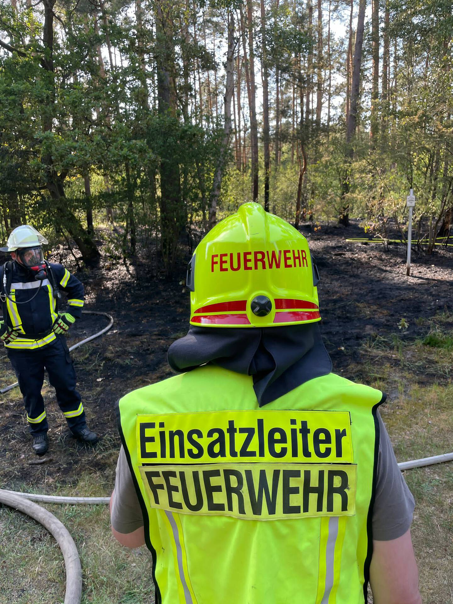 Brandstifter Zündelt Schon Wieder Im Wald - Lüneburg Aktuell